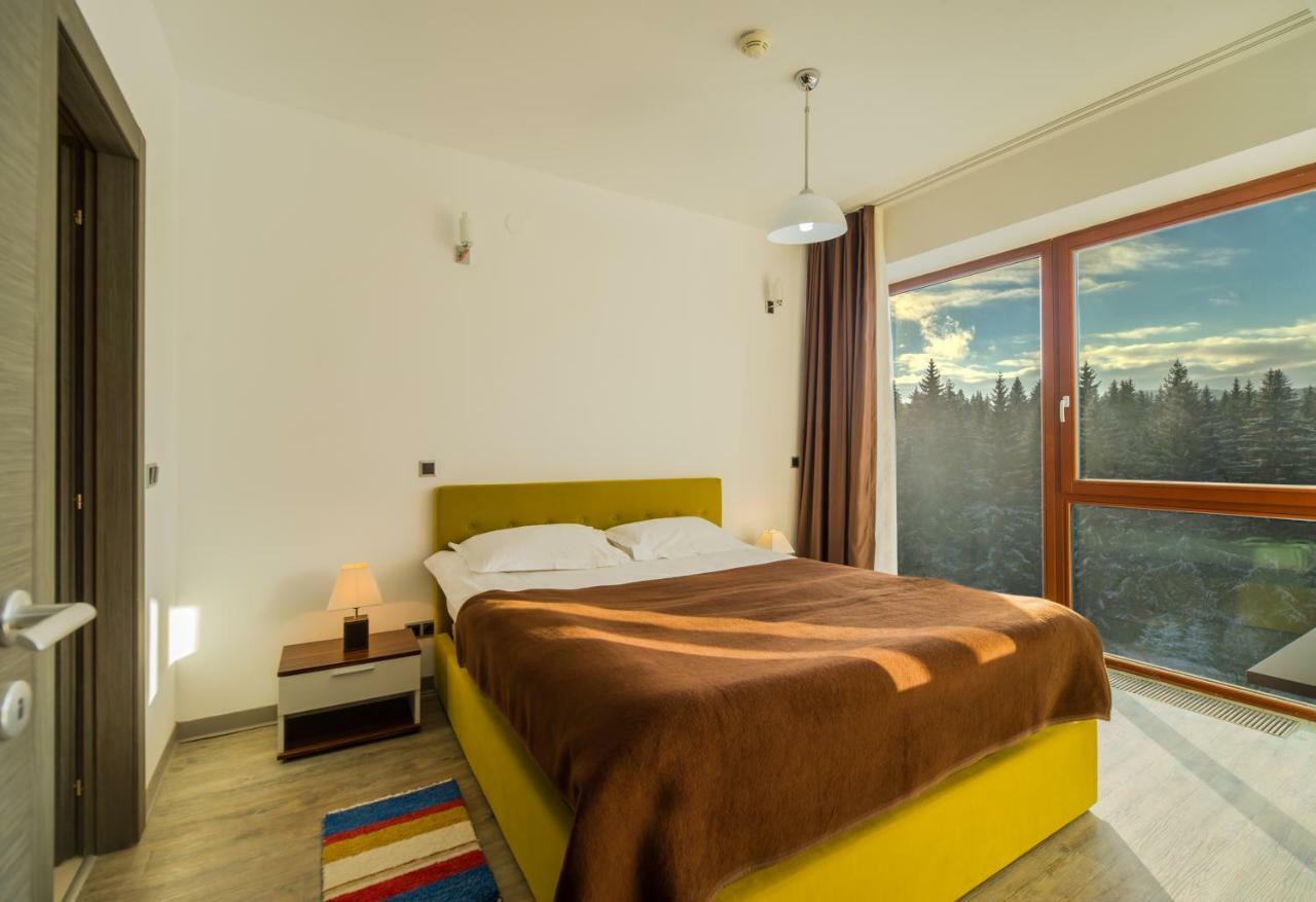 Timber View Apartment Silver Mountain 波亚纳布拉索夫 外观 照片