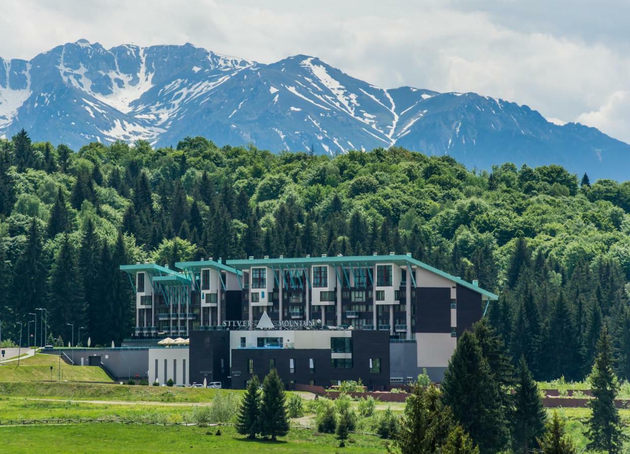 Timber View Apartment Silver Mountain 波亚纳布拉索夫 外观 照片