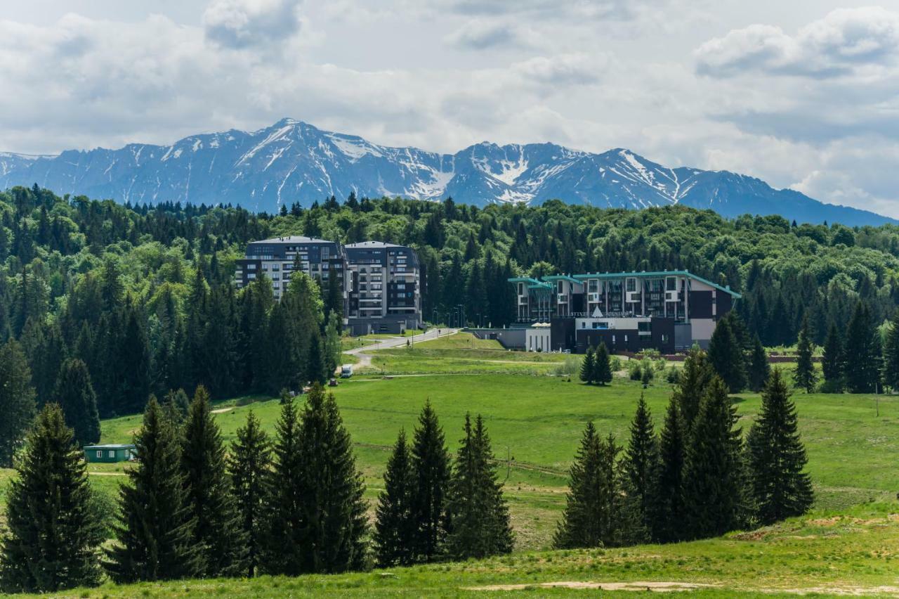 Timber View Apartment Silver Mountain 波亚纳布拉索夫 外观 照片